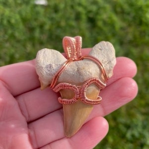 Shark Tooth Necklace, Shark Tooth Jewelry, Shark Tooth pendant