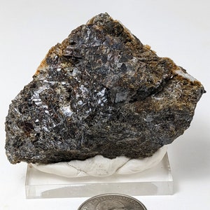 May include: A dark gray, metallic mineral specimen with a rough, textured surface. The specimen is displayed on a white stand with a clear base. A US quarter is included for scale.