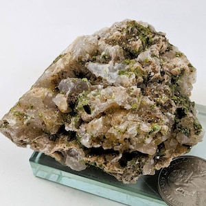 May include: A natural mineral specimen featuring a rough, textured surface with a mix of beige, clear, and green hues. The mineral is displayed on a clear glass surface, with a US quarter coin for size comparison.
