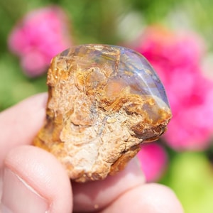 Blue Amber Dominican / blue amber raw natural