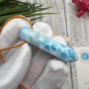 May include: A light blue and white larimar pendant with a leather cord. The gemstone is a rectangular shape with a polished finish. The pendant is held by a gloved hand.