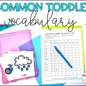 Common Toddler Vocabulary Flashcards
