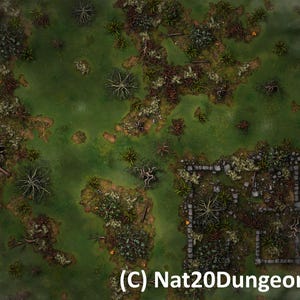 Swamp Ruins Battle map for Dungeons & Dragons, TTRPG VTT Map, Fantasy RPG Encounter Map Digital Map and Download Jpeg