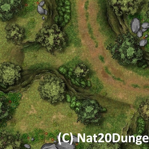 Forest Road Encounter, DnD Battle Map, D&D, Battlemap, Dungeons and Dragons, 5e, Roll20, Fantasy Grounds, Foundry, VTT, Digital map