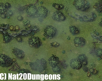 Forest Battle Map, DnD Battle Map, D&D, Battlemap, Dungeons and Dragons, 5e, Roll20, Fantasy Grounds, Foundry, VTT, Digital map