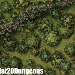 Wald Klippe Schlacht karte, DnD Kampfkarte, D&D, Battlemap, Dungeons and Dragons, 5e, Roll20, Fantasy Grounds, Foundry, VTT, Digitale Karte