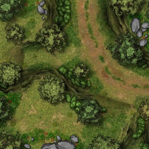 Forest Road Encounter, DnD Battle Map, D&D, Battlemap, Dungeons and Dragons, 5e, Roll20, Fantasy Grounds, Foundry, VTT, Digitale kaart