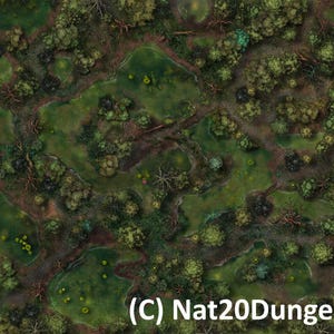 Forest Rough Terrain Battle map for Dungeons & Dragons, TTRPG VTT Map, Fantasy RPG Encounter Map Digital Map and Download Jpeg