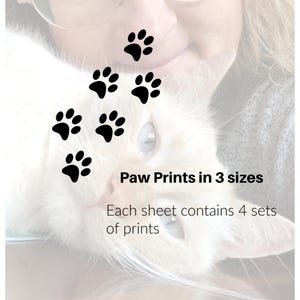 Cat Paw Prints Permanent Vinyl Decal: Waterproof Car, Laptop, and Window Decor