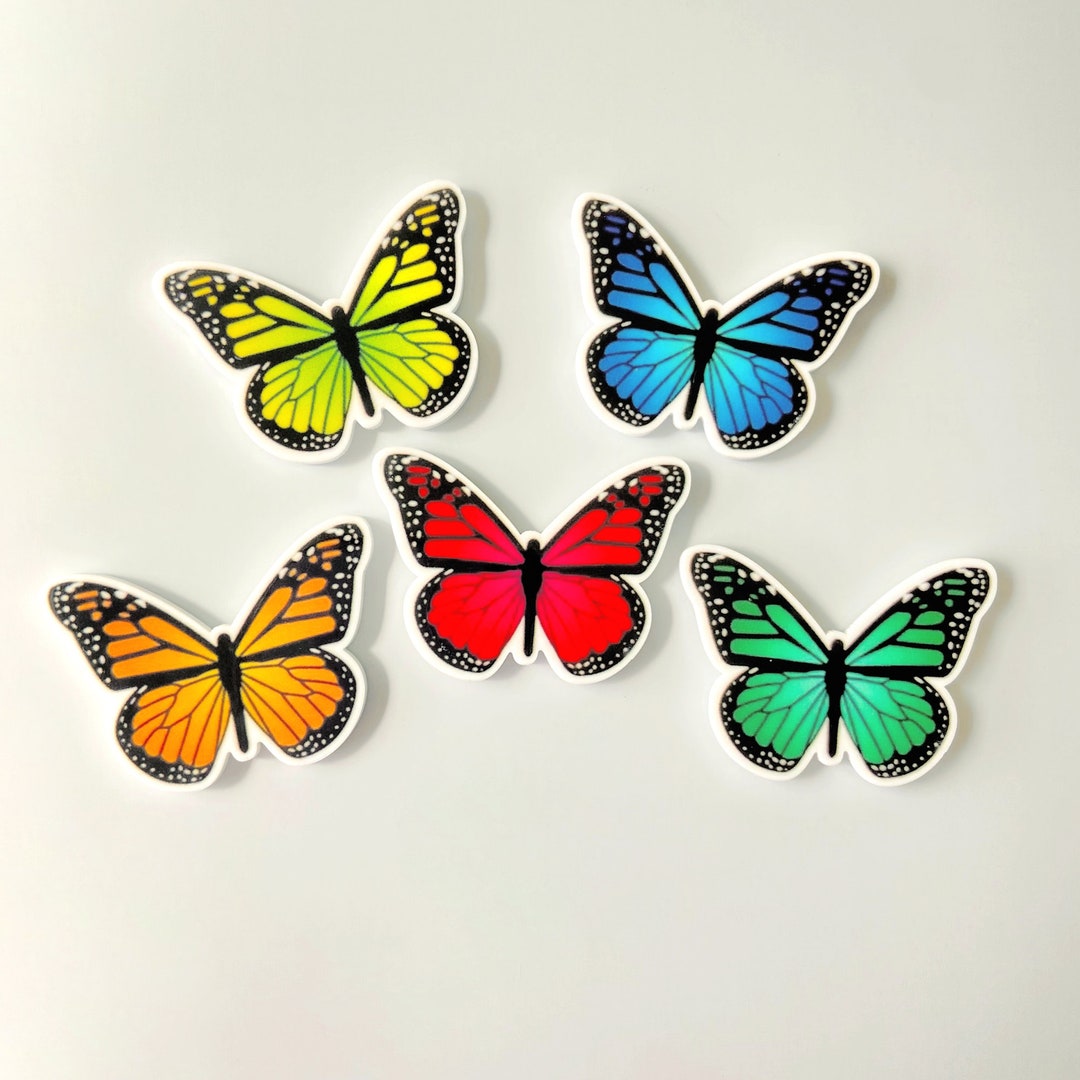 Rainbow Butterfly Fridge Butterflies Etsy