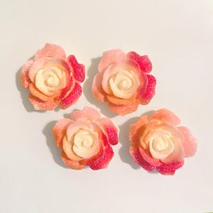 Red Orange Pink Glitter Flowers, Large Flower Fridge Magnets, Sugar Texture Sparkly Multicolored Flower Magnet Set, Floral Kitchen Decor