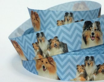 Collies on Blue Chevron - 7/8" - Printed Grosgrain Ribbon