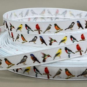 Backyard Birds - 3/8&quot; - Printed Grosgrain Ribbon - Birds - Birdwatching - Wildlife - Sewing