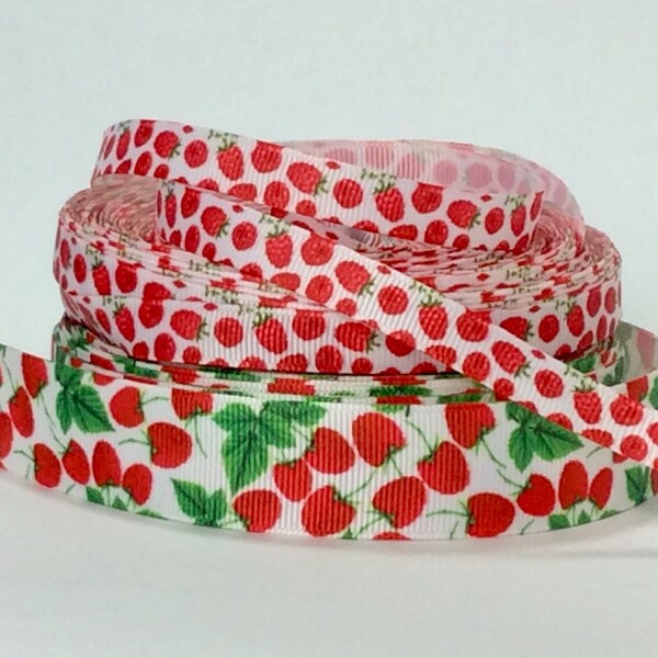 Fruit Ribbon - Etsy