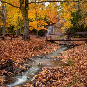 Waterfall in peak autumn in upper peninsula of Michigan | Michigan wall art | Michigan fall photo gift