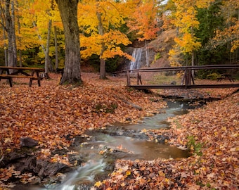 Waterfall in peak autumn in upper peninsula of Michigan | Michigan wall art | Michigan fall photo gift
