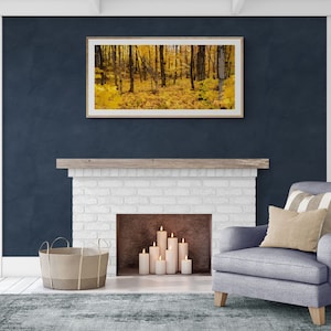 Trees full of yellow in Michigan&#39;s upper peninsula | Fall photography wall art | Upper peninsula gifts