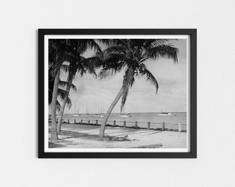 Vintage Photo Printable | Florida Seaside Photograph | Palm Tree Photo | Black and White Art | Downloadable Prints
