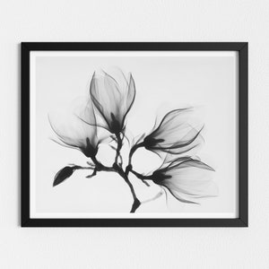 Vintage Photo Printable | Magnolia Flower Photography | Vintage Nature Photography | Downloadable Prints