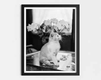 May include: A black and white photograph of a kitten sitting on a table with a bouquet of flowers behind it.