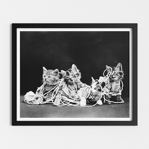 May include: Five kittens are tangled in a ball of yarn. The kittens are all looking at the camera. The kittens are all gray and white. The yarn is white.