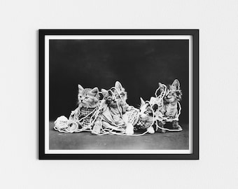 May include: Five kittens are tangled in a ball of yarn. The kittens are all looking at the camera. The kittens are all gray and white. The yarn is white.