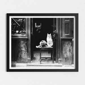 Foto vintage imprimible / Gatos lindos con gafas de sol / Foto divertida de animales vintage / Arte en blanco y negro / Impresiones descargables