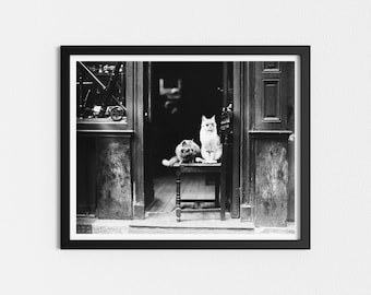 May include: Black and white photograph of two cats sitting on a wooden chair outside a shop doorway. The cats are looking at the camera.