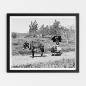 ビンテージ写真の印刷可能 | ロバの荷車に乗った女性 | ビクトリア朝時代の女性の写真 | 白黒アート | ダウンロード可能なプリント