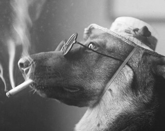cigarettes and bipolar Smoking bipolar disorder: the physical and mental health impact of tobacco  cessation