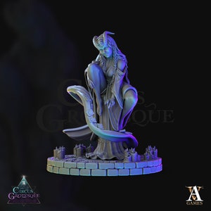 Chaval Female Tiefling 1 (Base with Cards) - 3D printed miniatures 8K LCD| Artisans