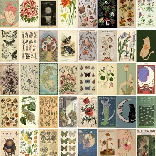 PRINTED Vintage Botanical Poster Wall Collage Kit Fairy - Etsy
