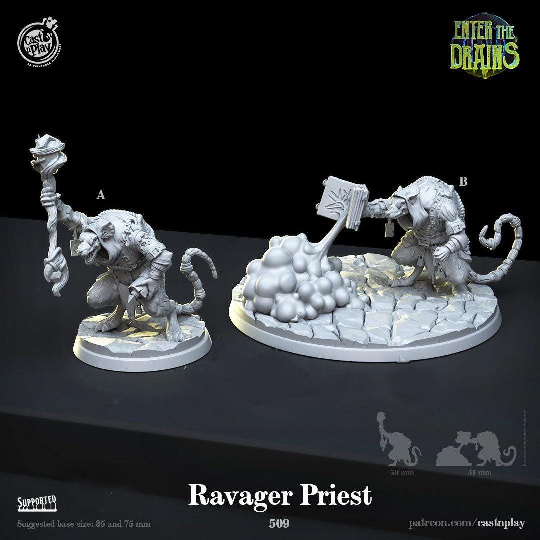 Pathfinder Ravager Ravager Priest Bundle | D&D | Dnd | Dungeons and Dragons | Wargaming ...