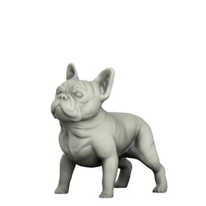 Franse Bulldog | D&D | DnD | Kerkers en draken | Wargamen | 3D-geprint | Model | Rollenspel | Verkenner