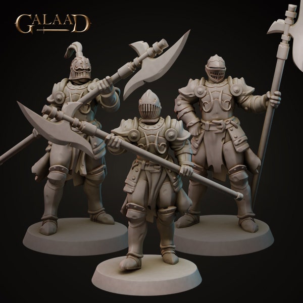 Paquete Halberd Knights / D&D / DnD / Mazmorras y Dragones / Wargaming / Impreso en 3D / Modelo / Juego de roles / Pathfinder