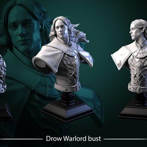 Busto de Señor de la Guerra Drow / D&D / DnD / Dungeons and Dragons / Wargaming / Impresión 3D / Modelo / Juego de rol / Pathfinder