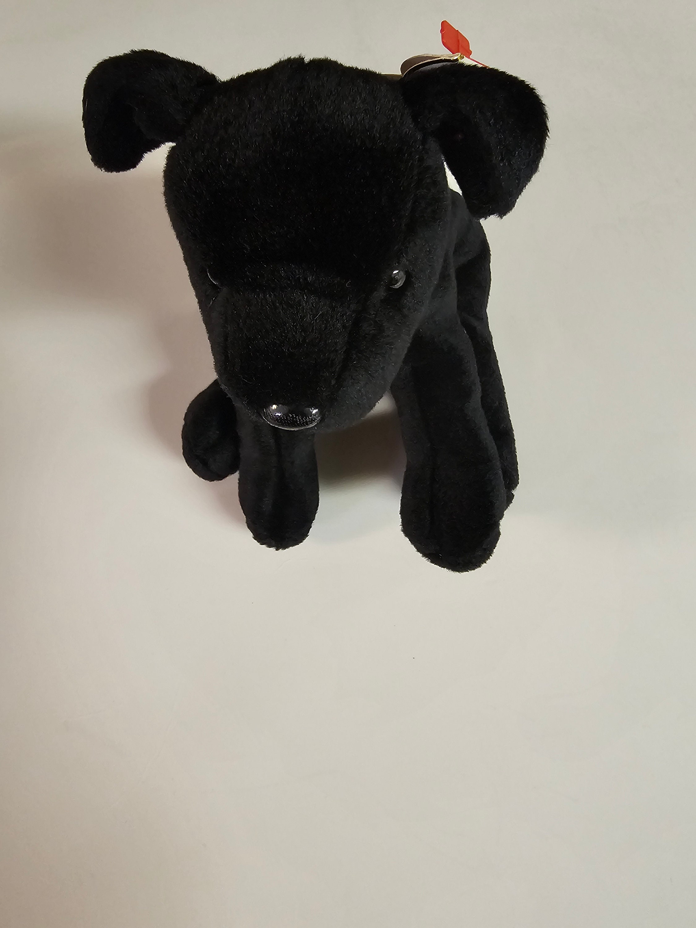 Luke beanie hotsell baby 1999 value