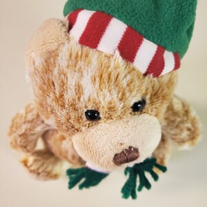Peut inclure: Un ours en peluche brun portant un chapeau rayé vert et rouge avec une écharpe verte. L'ours a des yeux noirs et un nez brun.