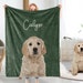 see more listings in the Custom Pet Blanket section