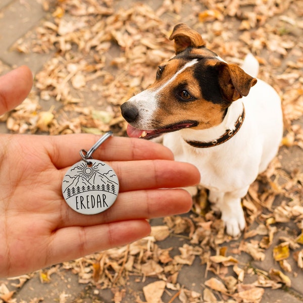 Personalized Dog Tag With Name, Custom Cat Collar Tag, Double Side Silent Collar Tag, Dog ID Tag, Engraved Pet Tag Gift,Perfect Dog Dad Gift