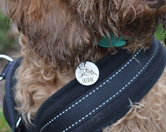 Kostenlose gravierte Hundemarke, benutzerdefinierte Katzenhalsbandmarke mit Namen, doppelseitige stille Halsbandmarke, Hunde-ID-Tag, gravierte Haustiermarke Geschenk, perfektes Geschenk für Hundevater