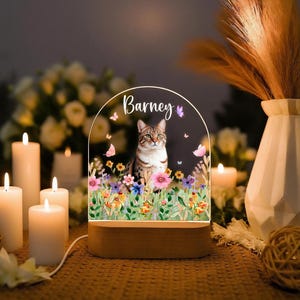 Custom Pet Portrait Night Light with Name, Dog Loss Gift, Pet Memorial Gift, Pet Photo Acrylic Lamp, Gift For Dog Lover, Sympathy Gift