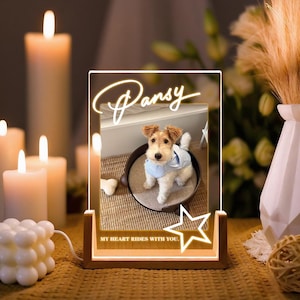 Personalized Pet Memorial LED Night Light, Pet Photo Lover Night Lamp, Acrylic Dog Keepsake Gift, Dog Memorial Gift, Light Up Sympathy Gift