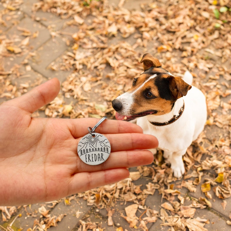 Médaille personnalisée pour chien, Médaille de collier de chat personnalisée, Médaille double face de collier silencieux, Médaille d'identification pour chien, Médaille gravée pour animal de compagnie, Cadeau parfait pour papa chien image 2