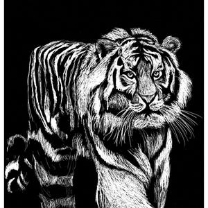 Puede incluir: Un dibujo en blanco y negro de un tigre, creado con una técnica de raspado. El tigre está mirando al espectador con la cabeza alta y la boca cerrada. Las rayas del tigre son visibles, al igual que su pelaje.