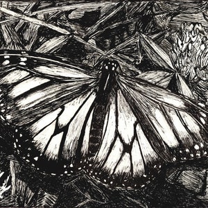 Butterfly Art Print (Proceeds Donated to Wildlife Conservation)
