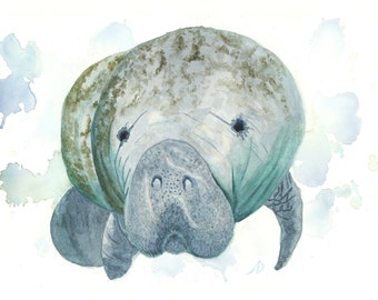 Watercolor Manatee Art Print  (Proceeds donated to wildlife conservation)