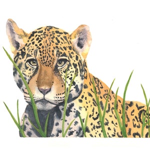Leopard Art Print (Proceeds donated to wildlife conservation)
