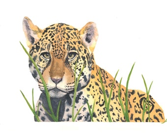 Leopard Art Print (Proceeds donated to wildlife conservation)