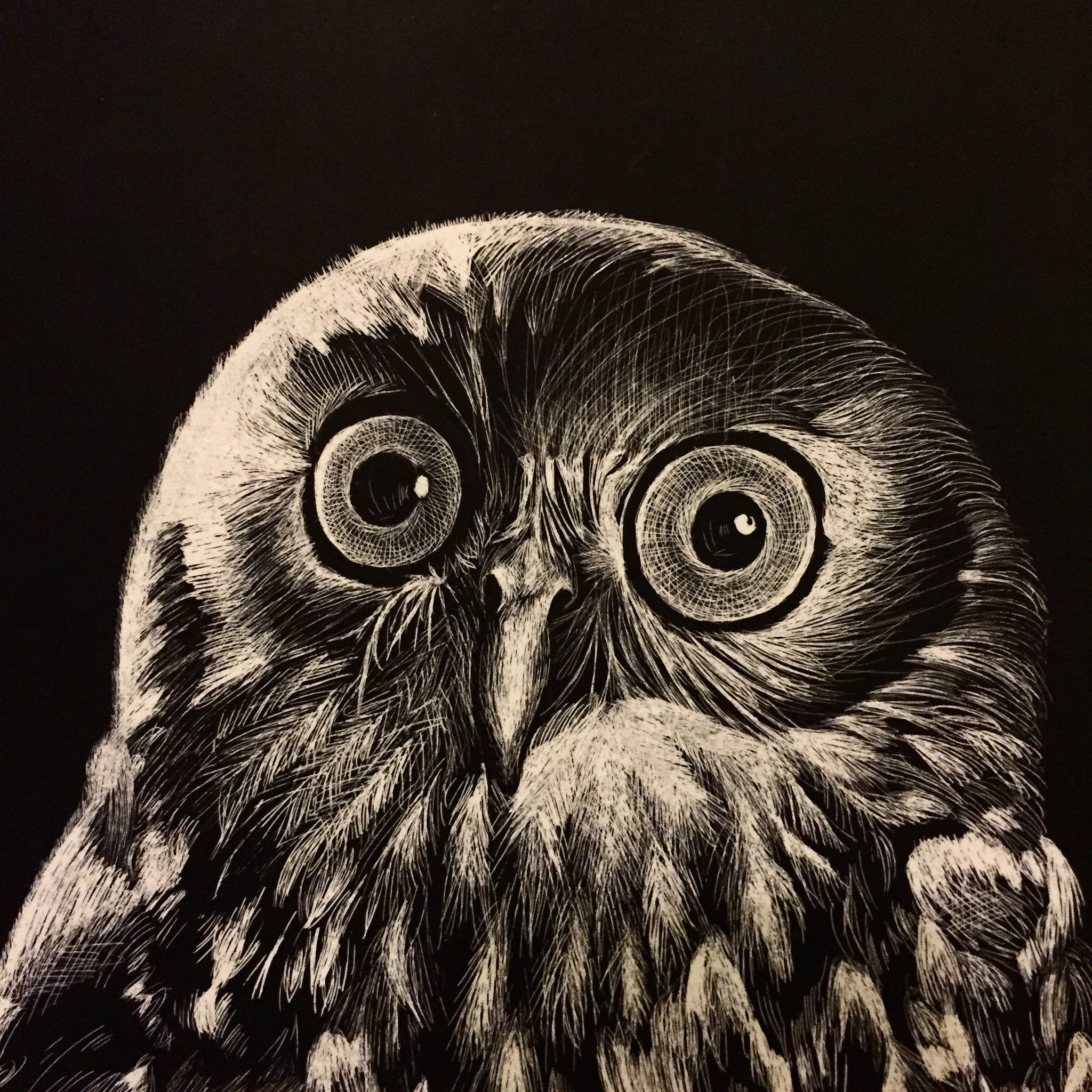 Owl Scratch Art Print (Proceeds donated to wildlife conservation)